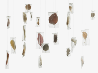 Finissage della mostra “Tassonomie” di Manuela Bieri