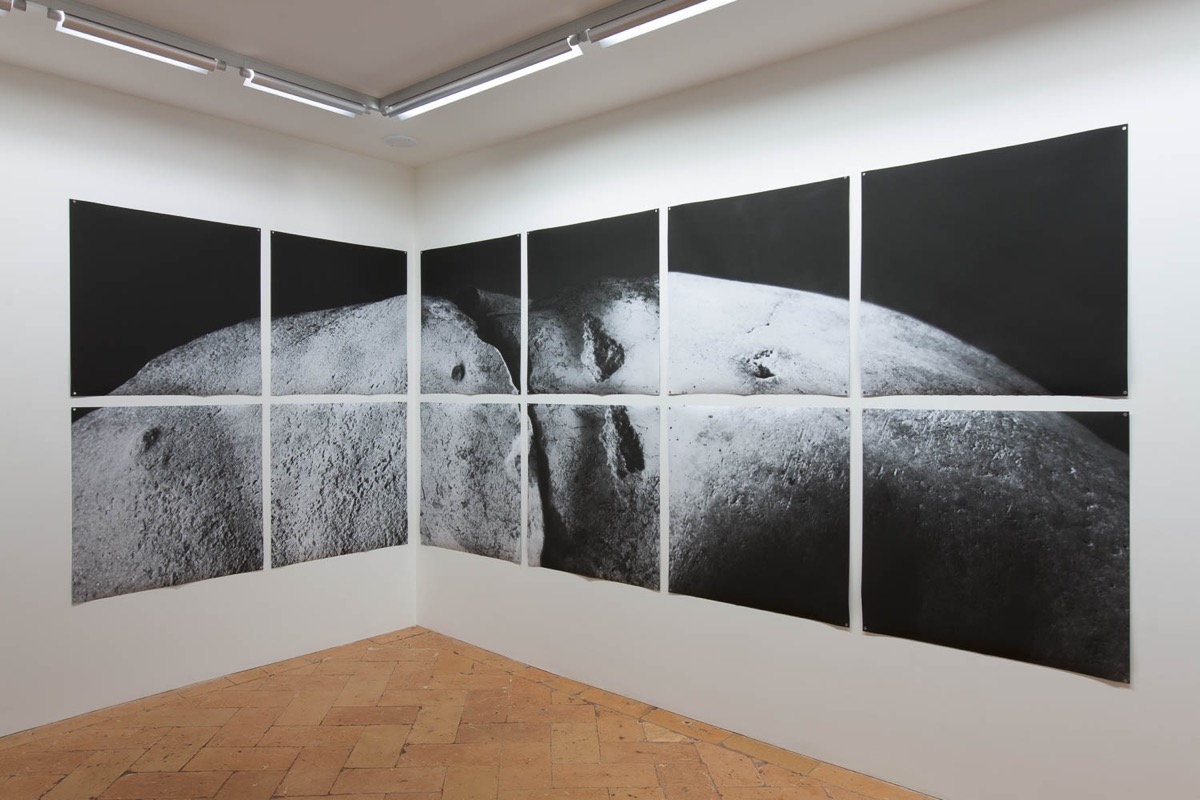 Marion Tampon Lajariette